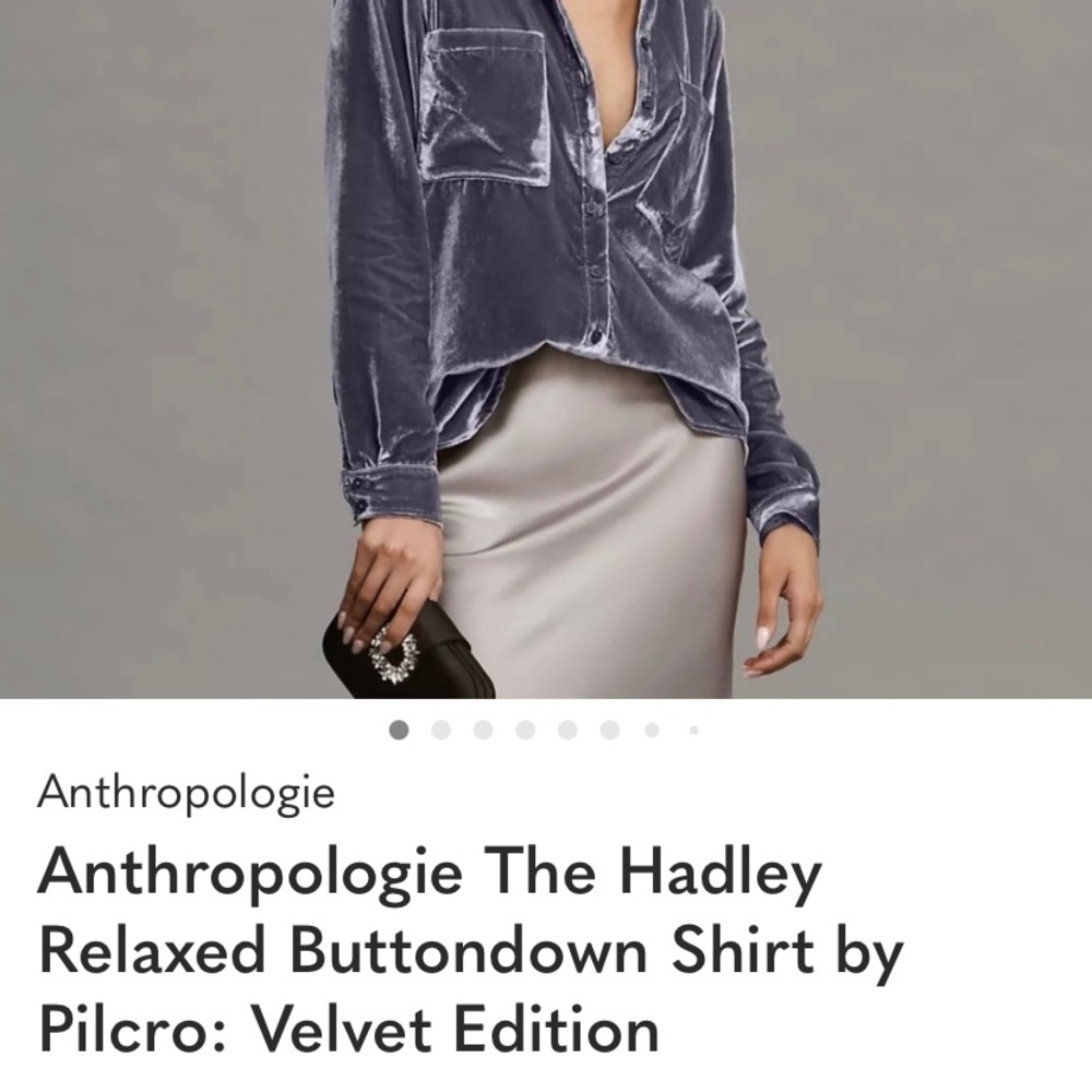Anthropologie Velvet Button-Up in Deep Gray